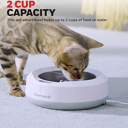 Honeywell Smart Pet Bowl with Built-in Food Scale and Removable Slow Feeder Insert, App-Based, WiFi Enabled, 2-Cup Capacity, USB Rechargeable, Ideal for Monitoring Pet's Eating Habits