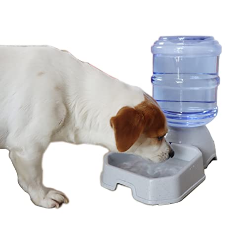 2 Pack Automatic Dog Cat Feeder and Water Dispenser ,Gravity Multi Pet Drinking Fountain , Set with Pet Food Bowl for Medium Dog Puppy Kitten, Big Capacity 1 Gallon x 2 (Waterer+Feeder)