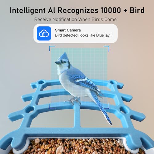 DEHVIHS Smart Bird Feeder with Camera, 2.5K HD AI Identify Bird Watching Camera with Solar Panel, Live View, Auto Capture Bird Videos & App Notify When Birds Detected, Ideal Gift for Bird Lover