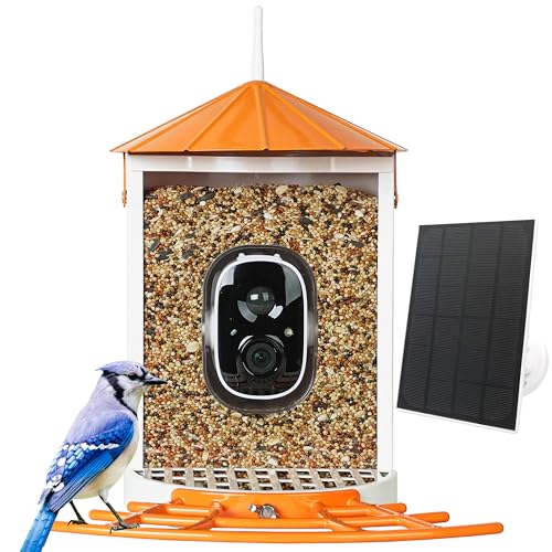 Birdkiss Smart Bird Feeder with Camera Solar, Auto Capture Bird Videos & Motion Detection, Bird Watching Camera Notify in Time, Metal Bird Feeder with Seed Guard, Ideal Present for Bird Lover (Orange)