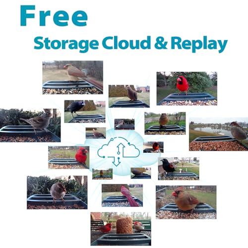 Vakiav Smart Bird Feeder with Camera,100M Cloud Storage AI Forever,App Notify When Birds Detected,1080P HD Capture Bird,Stylish Appearance Bird House, (Only Support2.4G wifi)