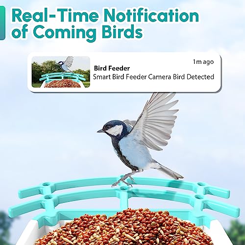 AUXCO Bird Feeder with Camera, Newest Solar Smart Bird Feeder Camera Wireless Outdoor, AI Identify 11000+ Bird Species, 1080P HD Real Time Auto Capture Bird Videos & Notify Video Bird Feeders Camera
