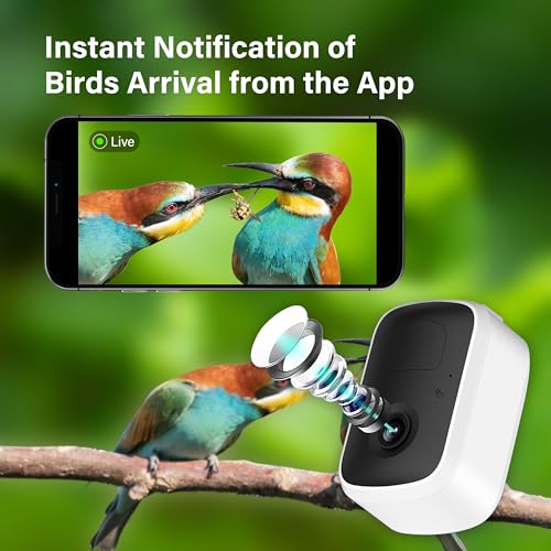 Simple Deluxe Smart Bird Feeder with Camera Solar Powered Hummingbird Feeders for Outdoors with Camera HD 1080P, AI Identify Bird Species 11k, Auto Capture Bird Videos, Ideal Gift for Bird Lover