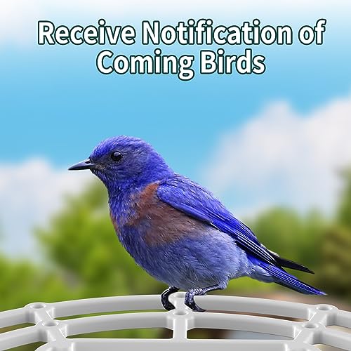Smart Bird Feeder with Camera, HD Optical Len, 1080P Free AI Identify, Auto Capture Instant Notifications, Built-in Two-Way Audio, Solar Panel, Ideal Gift for Family