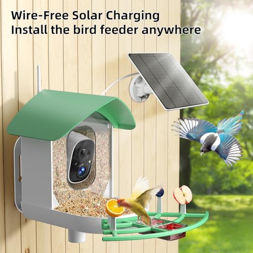 DEBARK Bird Feeder with Camera, AI Recognition 1080P Wireless Outdoor Bird House Camera Solar Powered, Color Night Vision Waterproof WIFI Bird Watching Camera with Motion Detection for Bird Lovers
