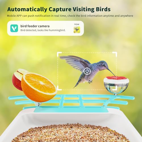 HARYMOR Smart Bird Feeder with Camera, Bird House with Camera for Outside, Solar Powered, AI Identif, Auto Capture Bird Videos, Real Time Views, Bird Watching Camera, Gift for Bird Love