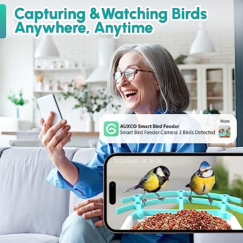 AUXCO Bird Feeder with Camera, Newest Solar Smart Bird Feeder Camera Wireless Outdoor, AI Identify 11000+ Bird Species, 1080P HD Real Time Auto Capture Bird Videos & Notify Video Bird Feeders Camera