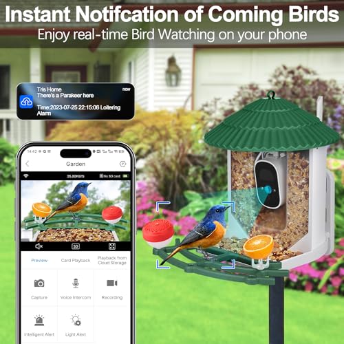 Smart Bird Feeder with Camera, Bird Feeders for Outdoors with APP Control, Batteries & Solar Powered, Color Night Vision, AI Identify Bird Species, Smart Hummingbird Feeder Ideal Gift for Bird Lover