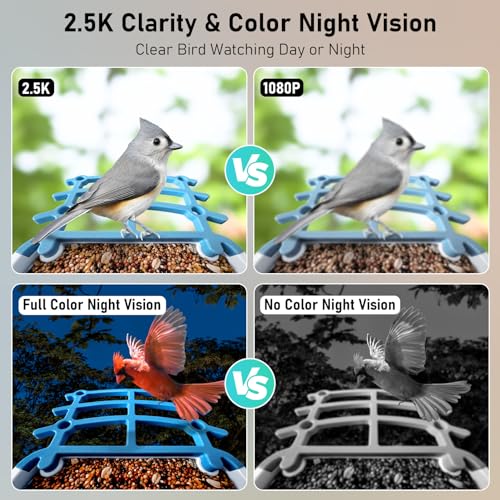 DEHVIHS Smart Bird Feeder with Camera, 2.5K HD AI Identify Bird Watching Camera with Solar Panel, Live View, Auto Capture Bird Videos & App Notify When Birds Detected, Ideal Gift for Bird Lover