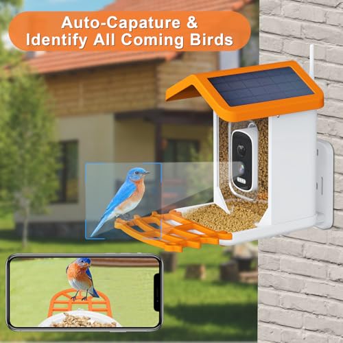 Oneware Wild Bird Feeder Camera, Smart Motion Activated Bird Camera with AI Auto Identify & Live Video Capture for Outdoor Bird Watching, Wireless Solar Powered Birdhouse Bird Box, Bird Lover Gifts