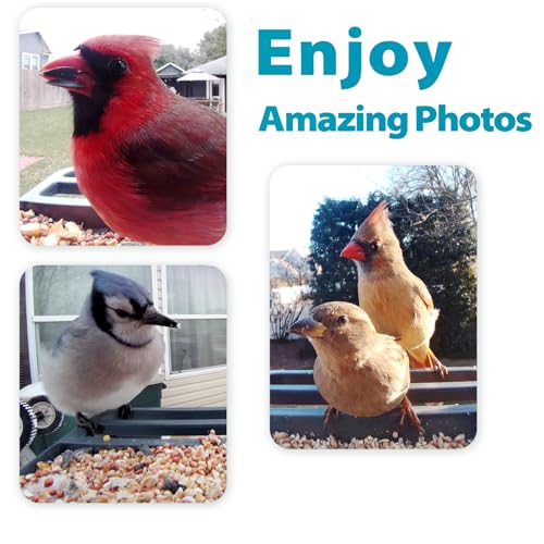 Vakiav Smart Bird Feeder with Camera,100M Cloud Storage AI Forever,App Notify When Birds Detected,1080P HD Capture Bird,Stylish Appearance Bird House, (Only Support2.4G wifi)