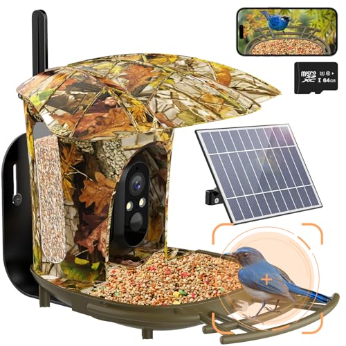 Lollyes Smart Bird Feeder with Camera Outdoor,1080P HD AI Identify Wild Bird Watching Camera with Solar Panel, Bird Feeder with Camera for Outdoor, Ideal Gift for Bird Lovers