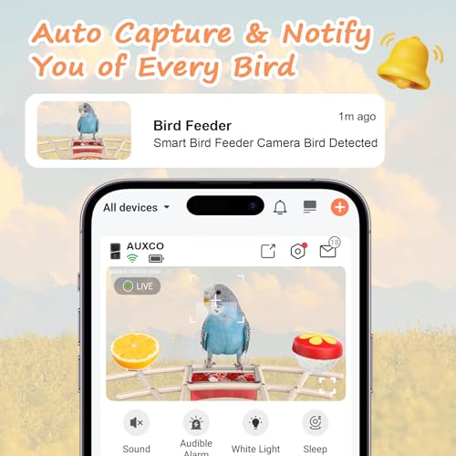 AUXCO Bird Feeder with Camera, Smart Bird Feeder Camera with AI Identify, 4K Ultra HD Camera, Auto Capture Bird Videos & Instant Notification, Attract a Variety of Birds, Ideal Gift for Children’s Day