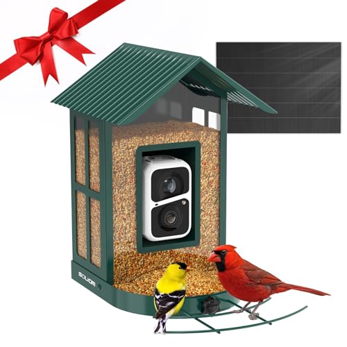 Soliom® Bird Feeder with Camera wireless outdoor with AI Identify Bird Species, Smart Wild Bird Watching Cam, Live View, Motion Triggered Notification, 3W Solar, 1.6L Small Size-Metal Case BF08S-G