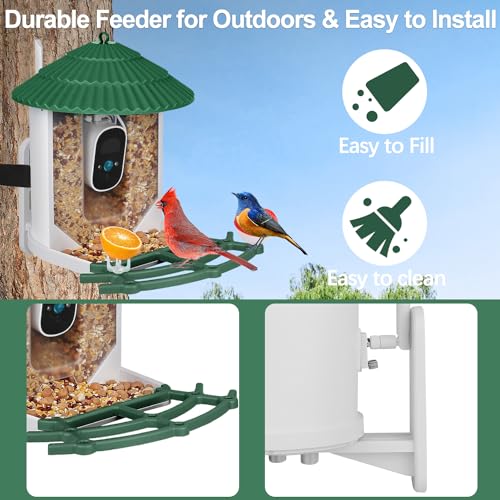 Smart Bird Feeder with Camera, Bird Feeders for Outdoors with APP Control, Batteries & Solar Powered, Color Night Vision, AI Identify Bird Species, Smart Hummingbird Feeder Ideal Gift for Bird Lover