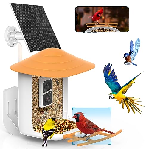 SOLIOM® BF09 Bird Feeder with Camera Wireless Outdoor,Smart Bird Feeder Camera with AI Identify Bird Species,Backyard Bird Watching Gift for Christmas,Auto Record Bird Video,Instant Notifications