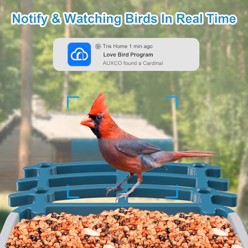 AUXCO Smart Bird Feeder Camera, Solar-Powered Bird Feeder Camera with 4MP Camera, AI Identify 11000+ Species, Squirrel Proof Wireless Camera Bird Feeders with Real-Time Alerts & Automatic Bird Camera