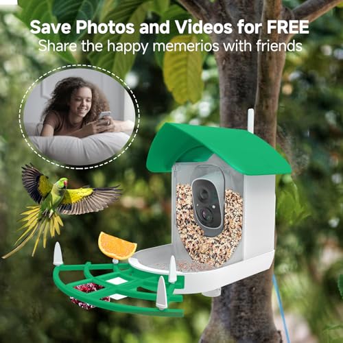 MIXUMON Smart Bird Feeder with Camera, AI Identify Bird Breed, Auto Capture Bird Watching, Solar-Powered WiFi 1080P Live Camera, Motion Detection, Cloud and SD Card Storage (Style 1 - Green)