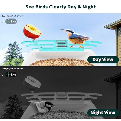 HARYMOR Smart Bird Feeder with Camera, Bird House with Camera for Outside, Solar Powered, AI Identif, Auto Capture Bird Videos, Real Time Views, Bird Watching Camera, Gift for Bird Love