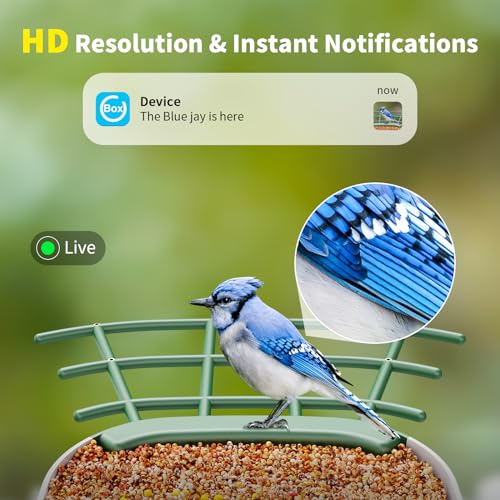 SEHMUA Bird Feeder with Camera, HD Bird Watching Camera with 1 Year Trial AI Identify, 4 DIY Add-ons, Bird House with Solar Panel for Outdoor, Auto Record Bird Videos, Suitable Option for Bird Lovers