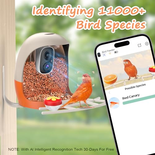 AUXCO Bird Feeder with Camera, Smart Bird Feeder Camera with AI Identify, 4K Ultra HD Camera, Auto Capture Bird Videos & Instant Notification, Attract a Variety of Birds, Ideal Gift for Children’s Day