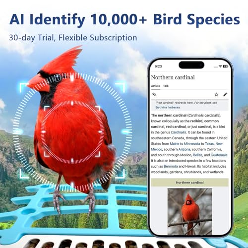 Smart Bird Feeder with Camera, Bird Feeders for Outdoors Bird Watching Camera 2.5K 4MP, AI Identify Auto Capture Bird Videos,Detection & Notify, Wireless Solar Powered Bird Camera Ideal for Bird Lover