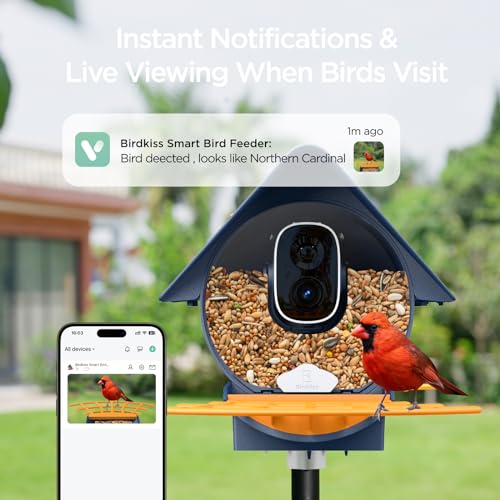 Birdkiss Smart Solar Feeder Camera: AI Identify WiFi Camera with Auto Bird Video Capture & Instant Notifications, Ideal Bird Lover Present