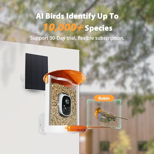 Birdkiss Smart Bird Feeder with Camera Solar, Auto Capture Bird Videos & Motion Detection, Bird Watching Camera Notify in Time, Metal Bird Feeder with Seed Guard, Ideal Present for Bird Lover (Orange)