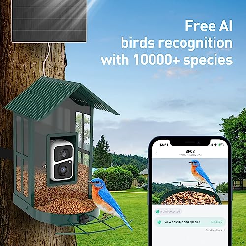 Soliom® Bird Feeder with Camera wireless outdoor with AI Identify Bird Species, Smart Wild Bird Watching Cam, Live View, Motion Triggered Notification, 3W Solar, 1.6L Small Size-Metal Case BF08S-G