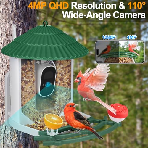 Smart Bird Feeder with Camera, Bird Feeders for Outdoors with APP Control, Batteries & Solar Powered, Color Night Vision, AI Identify Bird Species, Smart Hummingbird Feeder Ideal Gift for Bird Lover