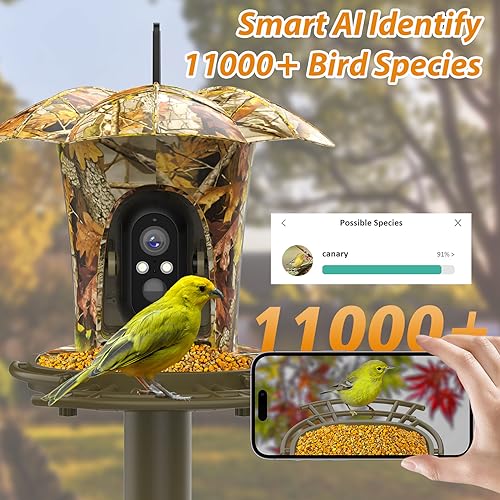 Lollyes Smart Bird Feeder with Camera Outdoor,1080P HD AI Identify Wild Bird Watching Camera with Solar Panel, Bird Feeder with Camera for Outdoor, Ideal Gift for Bird Lovers