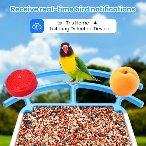 WISHBETY Smart Bird Feeder with Camera Solar Powered,AI Recognition Bird Feeder 1080P HD Real-Time,Auto Capture Bird Videos & Instant Notifications,Real Ideal Gift for Bird Lover