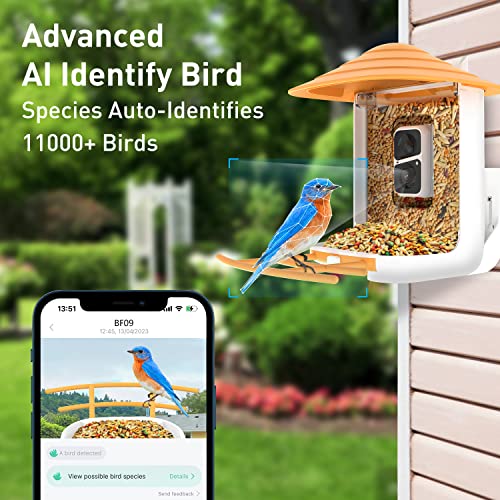 SOLIOM® BF09 Bird Feeder with Camera Wireless Outdoor,Smart Bird Feeder Camera with AI Identify Bird Species,Backyard Bird Watching Gift for Christmas,Auto Record Bird Video,Instant Notifications