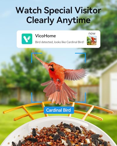 Howiray Smart Bird Feeder with Camera, Wild Bird Watching Camera with AI Identify-Auto Capture Bird Videos & Motion Detection | Bird Feeder Camera with Solar Power-Gift for Bird Lover Watching Birds