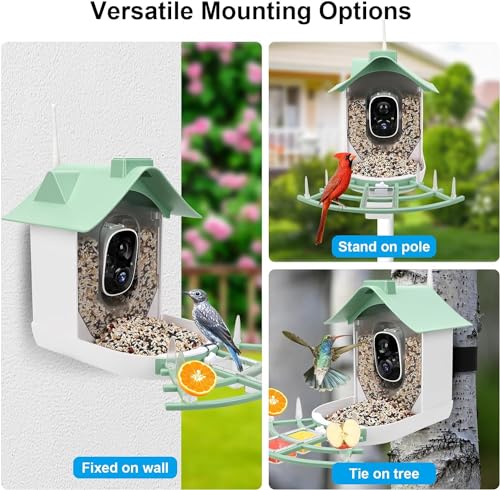 Bird Feeder with Camera, Smart Bird House with Cam,HD AI Identify Bird Species Watching Camera, Solar Powered, Auto Capture Bird Videos & Motion Detection, Gift for Bird Lover