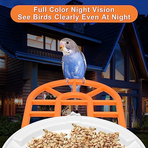 Oneware Wild Bird Feeder Camera, Smart Motion Activated Bird Camera with AI Auto Identify & Live Video Capture for Outdoor Bird Watching, Wireless Solar Powered Birdhouse Bird Box, Bird Lover Gifts