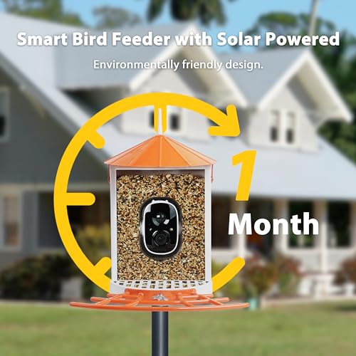 Birdkiss Smart Bird Feeder with Camera Solar, Auto Capture Bird Videos & Motion Detection, Bird Watching Camera Notify in Time, Metal Bird Feeder with Seed Guard, Ideal Present for Bird Lover (Orange)