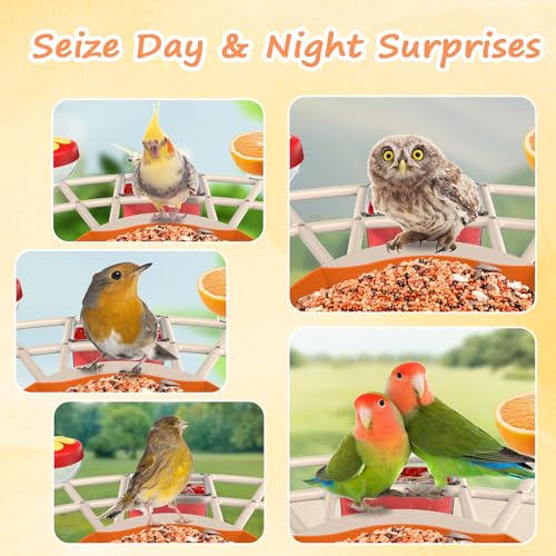 AUXCO Bird Feeder with Camera, Smart Bird Feeder Camera with AI Identify, 4K Ultra HD Camera, Auto Capture Bird Videos & Instant Notification, Attract a Variety of Birds, Ideal Gift for Children’s Day