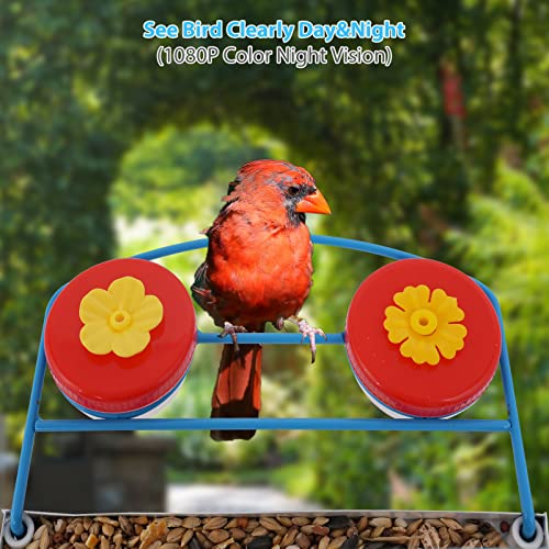 AMOEJOV hummingbird feeder camera,Smart bird Feeder with camera Auto Capture Birds and Notify,1080P HD Full Color Camera,Free 32G SD Card, Ideal Gift for bird lovers