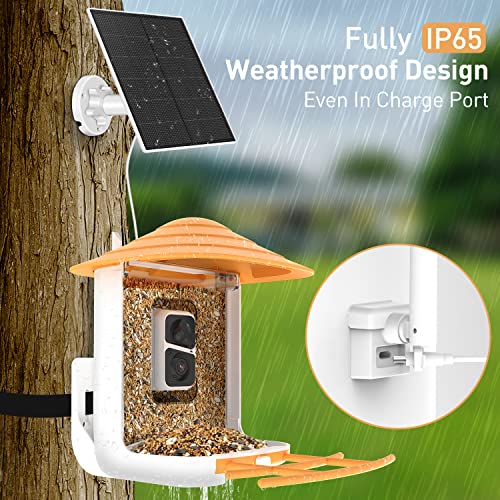 SOLIOM® BF09 Bird Feeder with Camera Wireless Outdoor,Smart Bird Feeder Camera with AI Identify Bird Species,Backyard Bird Watching Gift for Christmas,Auto Record Bird Video,Instant Notifications