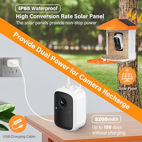 Simple Deluxe Smart Bird Feeder with Camera Solar Powered Hummingbird Feeders for Outdoors with Camera HD 1080P, AI Identify Bird Species 11k, Auto Capture Bird Videos, Ideal Gift for Bird Lover
