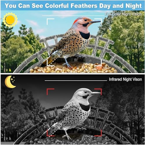AUQRER Smart Bird Feeder with Camera, 1080P HD Bird Feeder Camera Including 4G SIM Card, AI Identify Bird Species APP Control Solar Powered Smart Bird Feeder (4G Vesion)