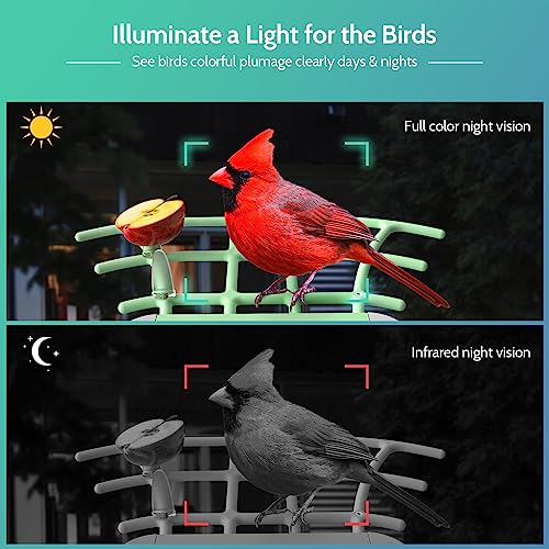 GAGEUR Bird Feeder with Camera, Smart Bird Feeder Camera with Solar Panel, AI Identify Bird Species Auto Capture Bird Videos & Instant Notifications, Ideal Gift for Bird Lover