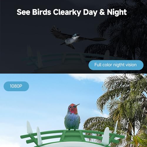 MIXUMON Smart Bird Feeder with Camera, AI Identify Bird Breed, Auto Capture Bird Watching, Solar-Powered WiFi 1080P Live Camera, Motion Detection, Cloud and SD Card Storage (Style 1 - Green)