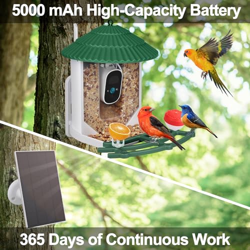 Smart Bird Feeder with Camera, Bird Feeders for Outdoors with APP Control, Batteries & Solar Powered, Color Night Vision, AI Identify Bird Species, Smart Hummingbird Feeder Ideal Gift for Bird Lover