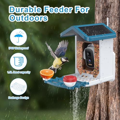 AUXCO Smart Bird Feeder Camera, Solar-Powered Bird Feeder Camera with 4MP Camera, AI Identify 11000+ Species, Squirrel Proof Wireless Camera Bird Feeders with Real-Time Alerts & Automatic Bird Camera