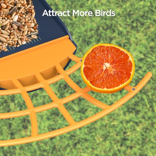 Birdkiss Smart Solar Feeder Camera: AI Identify WiFi Camera with Auto Bird Video Capture & Instant Notifications, Ideal Bird Lover Present