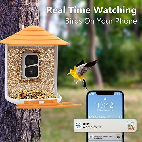 SOLIOM® BF09 Bird Feeder with Camera Wireless Outdoor,Smart Bird Feeder Camera with AI Identify Bird Species,Backyard Bird Watching Gift for Christmas,Auto Record Bird Video,Instant Notifications