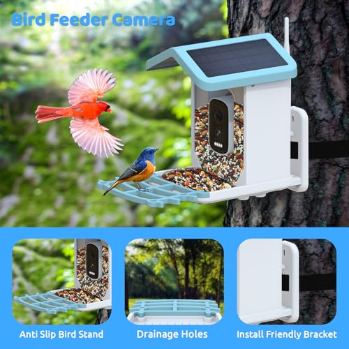 Smart Bird Feeder with Camera,𝗖𝗶𝗞𝗶𝗞𝗪𝗫𝗢 Solar Bird Feeder Outdoor Wireless,AI Identify Bird Breed,Solar Powered WiFi 2.5K Live Camera,Remote Monitoring,Motion Detection,SD Card & Cloud Storage