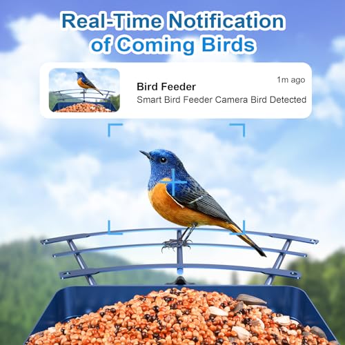 AUXCO Bird Feeder Camera, 4K High Resolution Smart Bird Feeder with Camera for Bird Watching, Color Night Vision, AI Identify 11000+ Species, Auto Capture Notify, Solar Powered, Gift for Bird Lovers